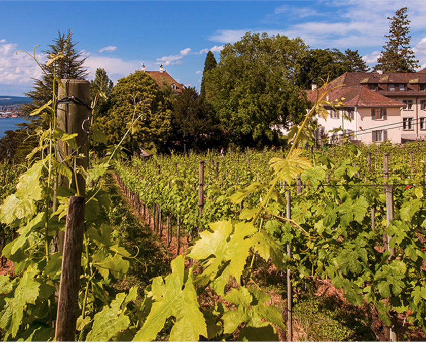 Farm image