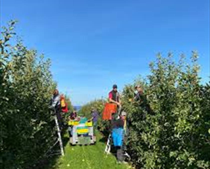 Farm image