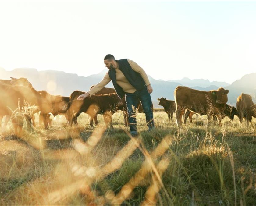 Farm image