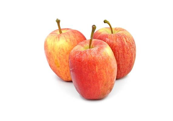 Äpfel Gala