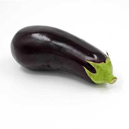 Aubergine