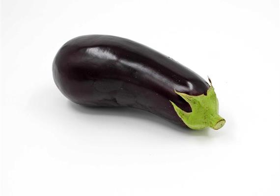 Aubergine