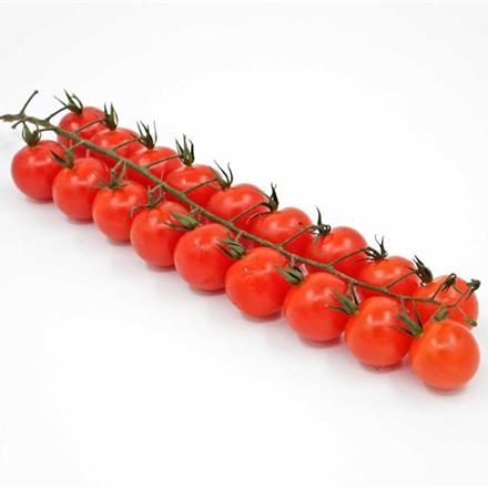 Cherry-Ramato Tomaten