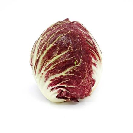 Chicorino Rosso Salat Bio