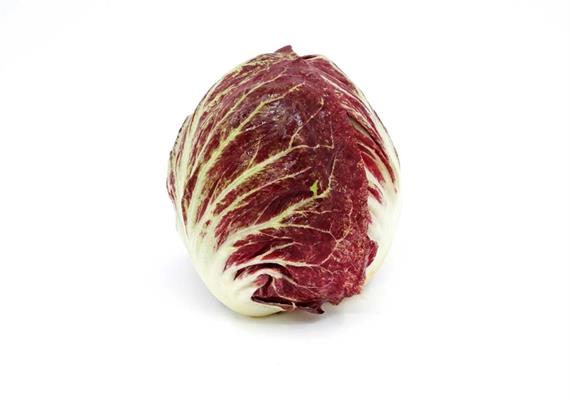 Chicorino Rosso Salat Bio