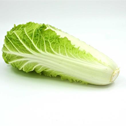 Chinakohl Bio