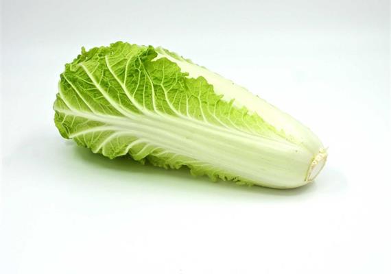 Chinakohl Bio