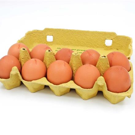 Eier - 10 stk