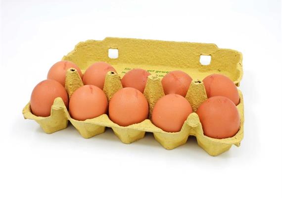 Eier - 10 stk