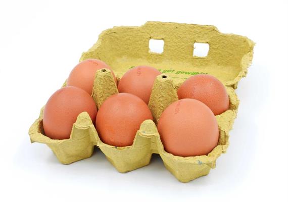 Eier - 6 Stk.