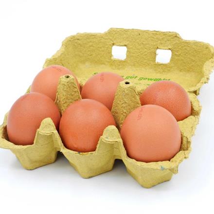 Eier