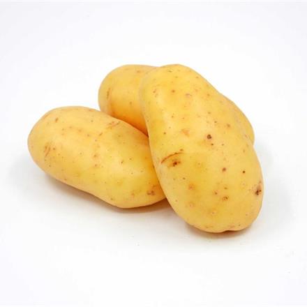 Kartoffeln - mehlig