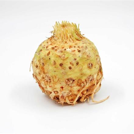 Knollensellerie Bio