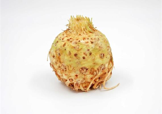 Knollensellerie Bio