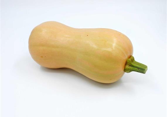 Kürbis Butternuss Bio