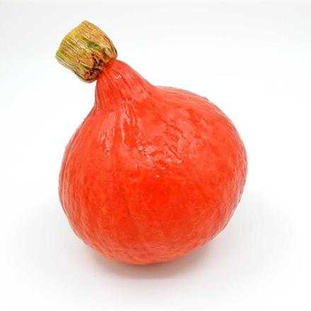Kürbis Hokkaido Bio