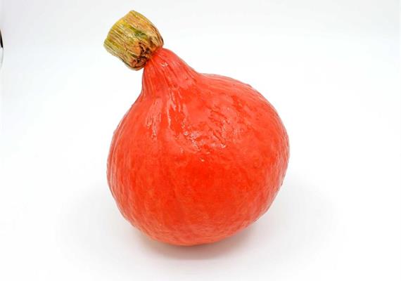 Kürbis Hokkaido Bio