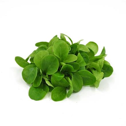 Nüsslisalat