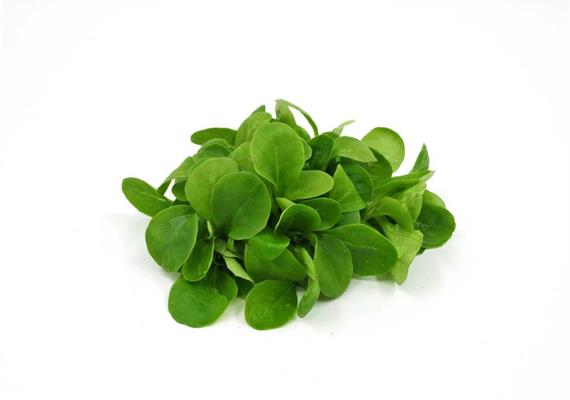 Nüsslisalat