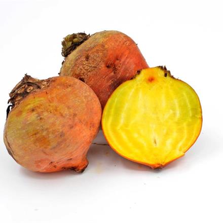 Randen gelb Bio