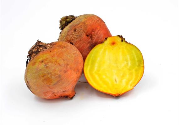 Randen gelb Bio