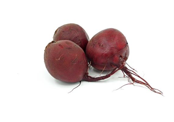 Randen rund Bio