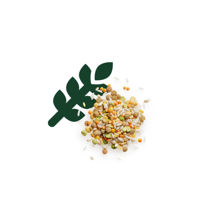 Vorräte