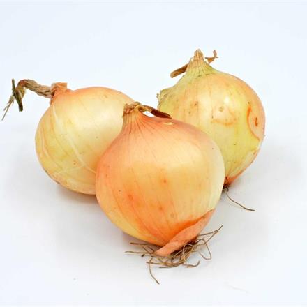 Zwiebeln