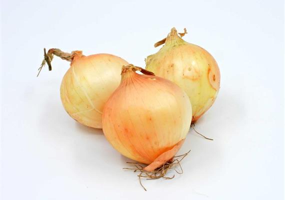 Zwiebeln